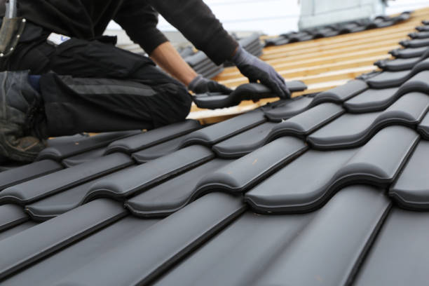 Best Roof Ventilation Installation  in Webberville, MI